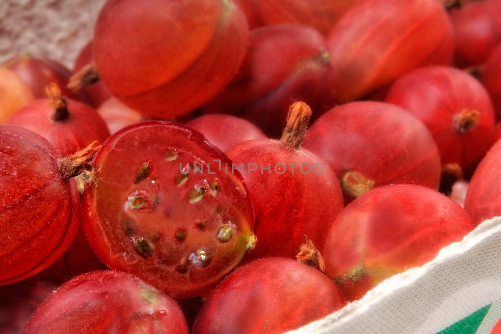 Red gooseberries