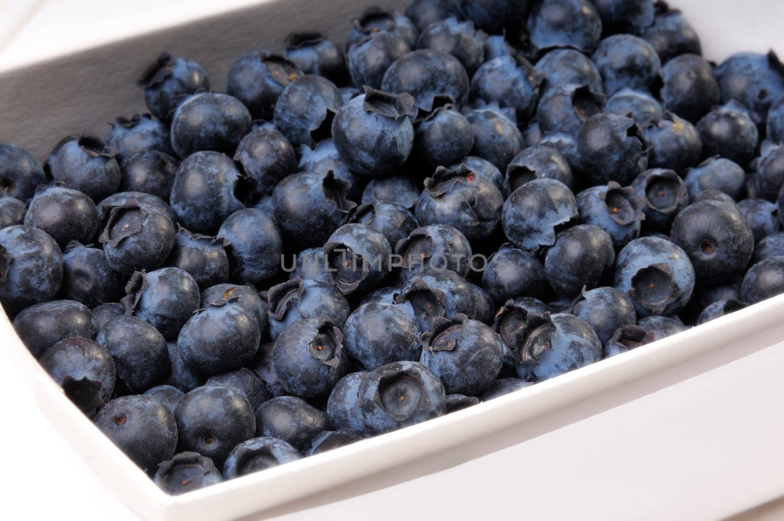 Blueberries isoleted