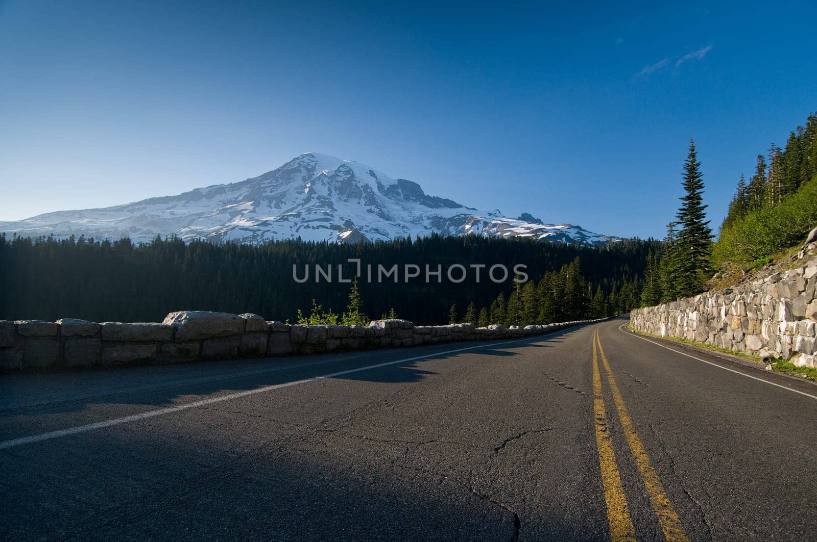 Road through Mount Rainier National Park, Washington