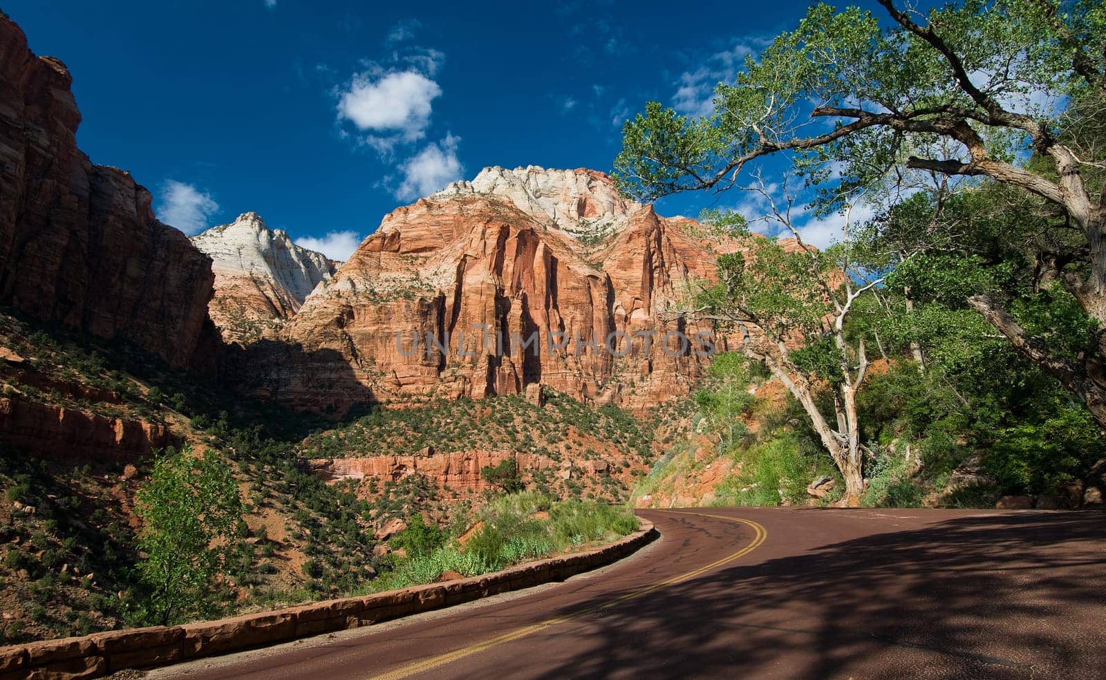 Road through the red rocks of Zion National Park, Utah