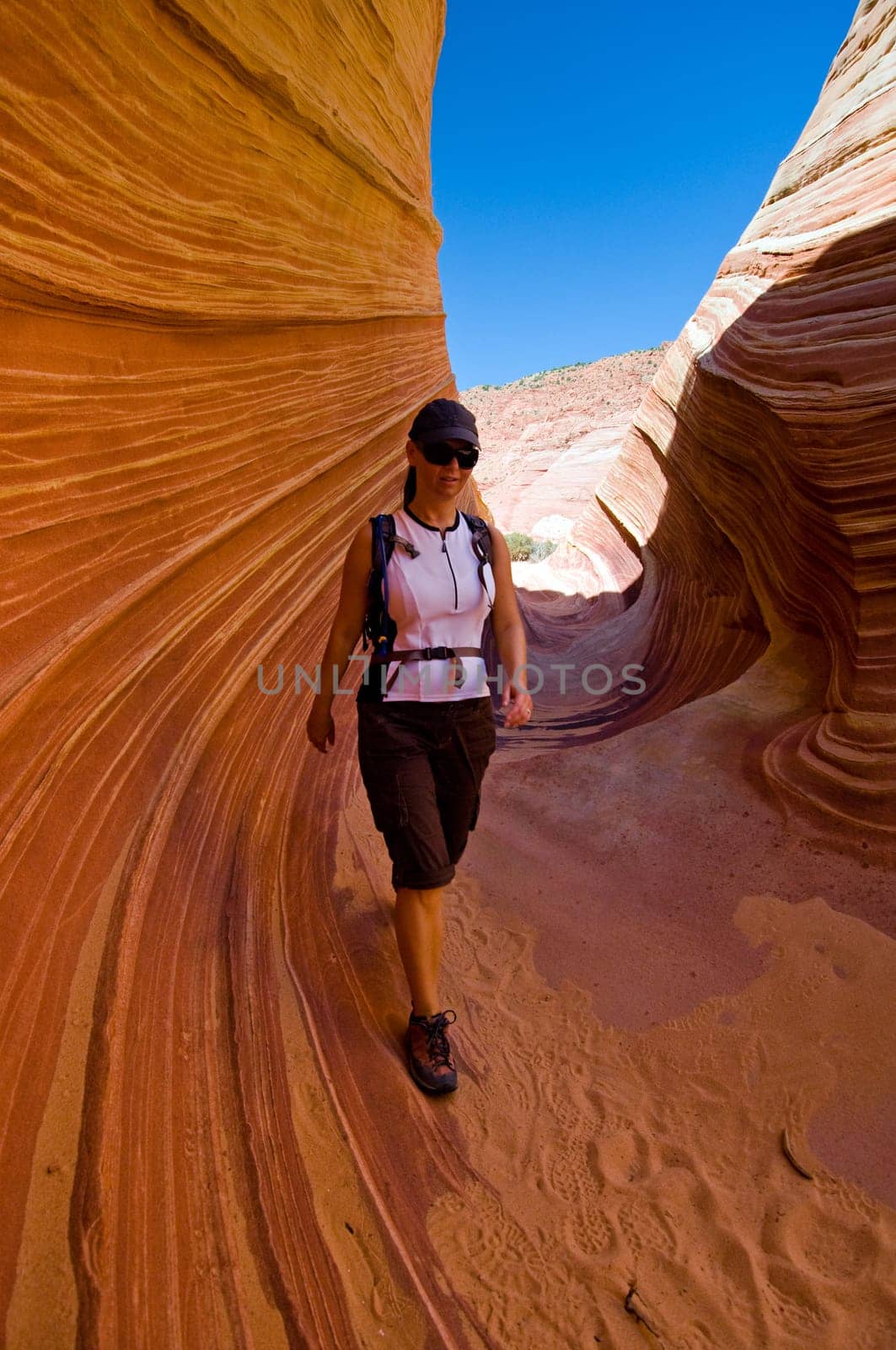 The Wave of Coyote Buttes in the Vermillion Cliffs Wildreness Area, Utah and Arizona