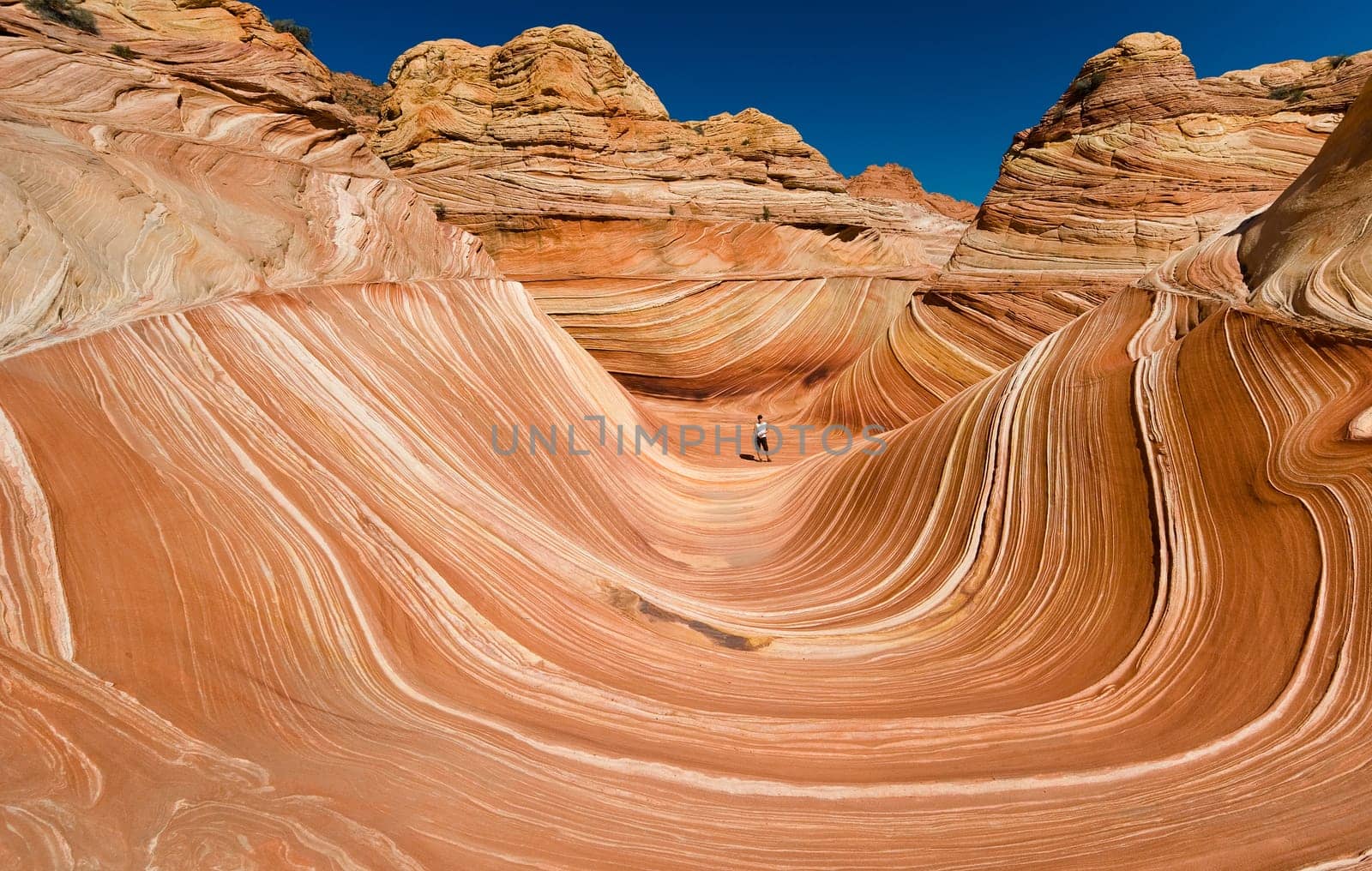 The Wave of Coyote Buttes in the Vermillion Cliffs Wildreness Area, Utah and Arizona
