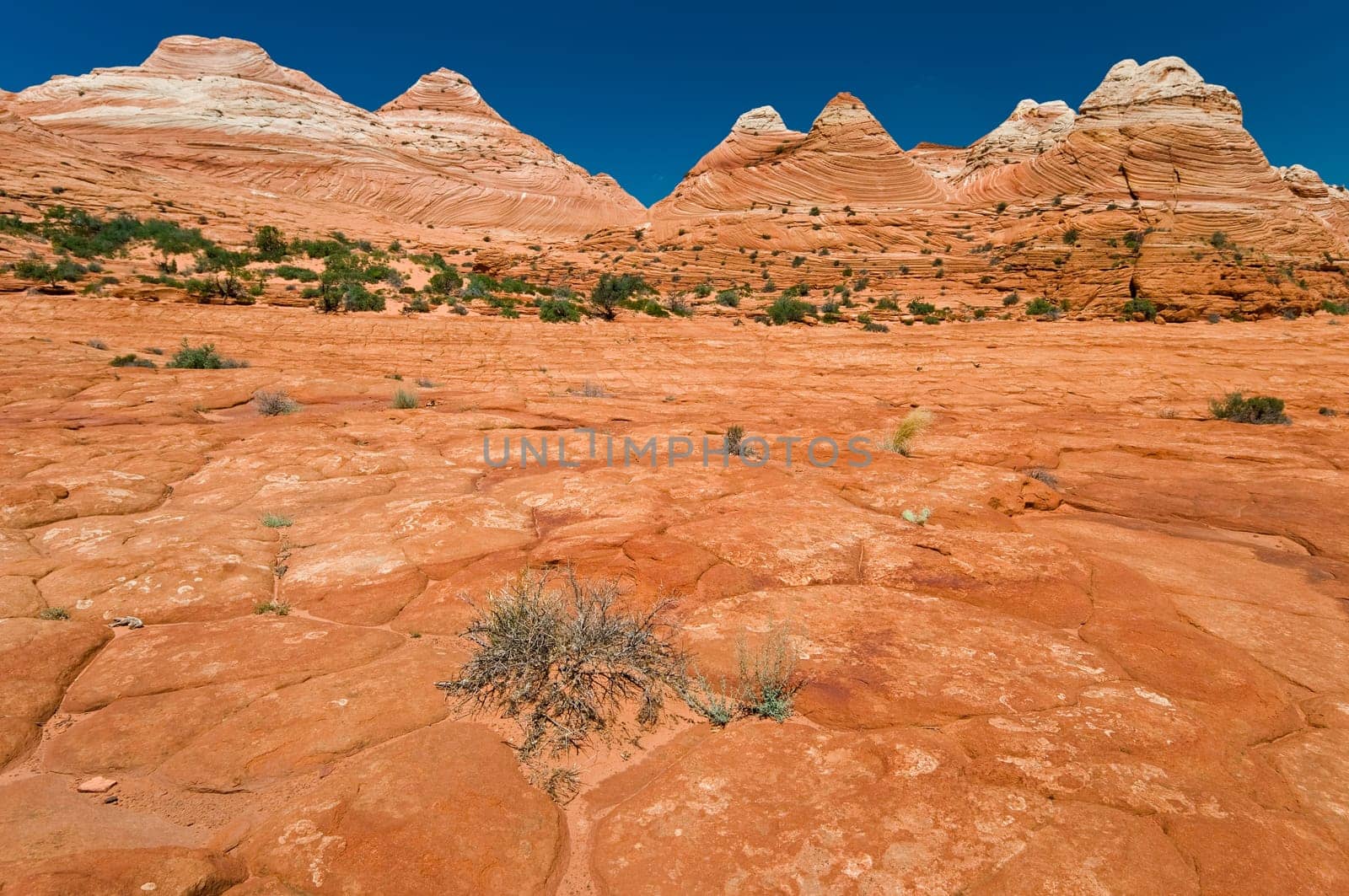 Coyote Buttes of the Vermillion Cliffs Wilderness Area, Utah and Arizona