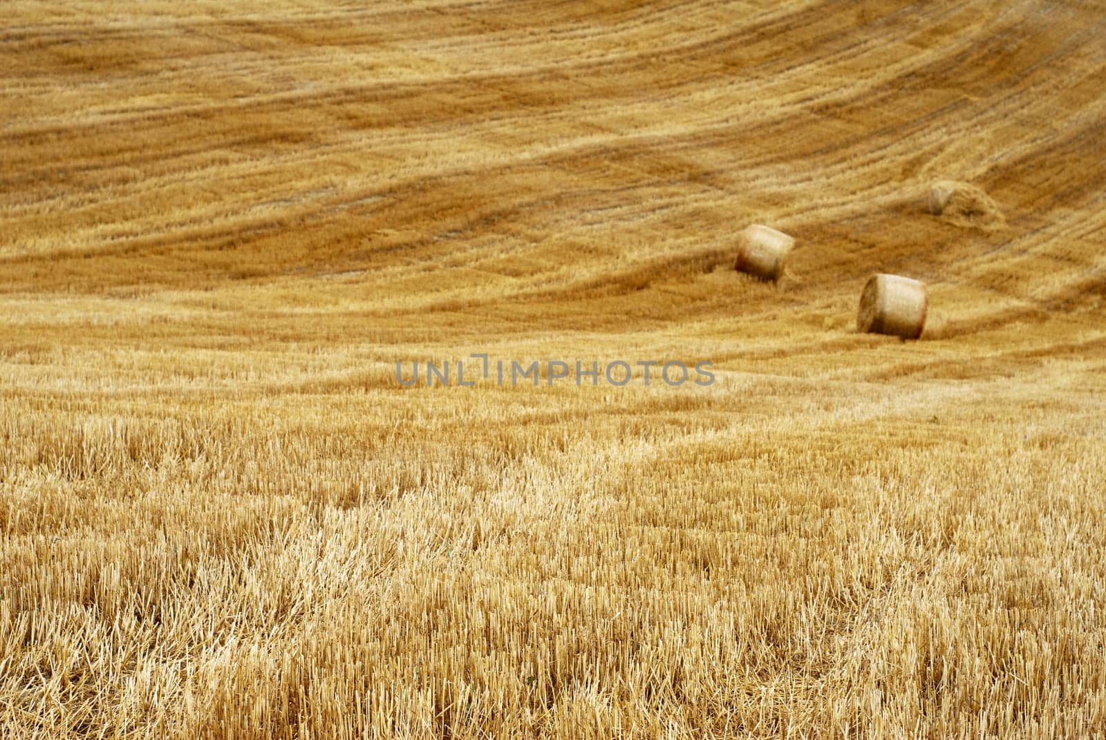 Field with straw bales and lines