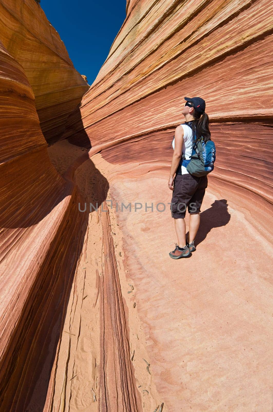 The Wave of Coyote Buttes in the Vermillion Cliffs Wildreness Area, Utah and Arizona