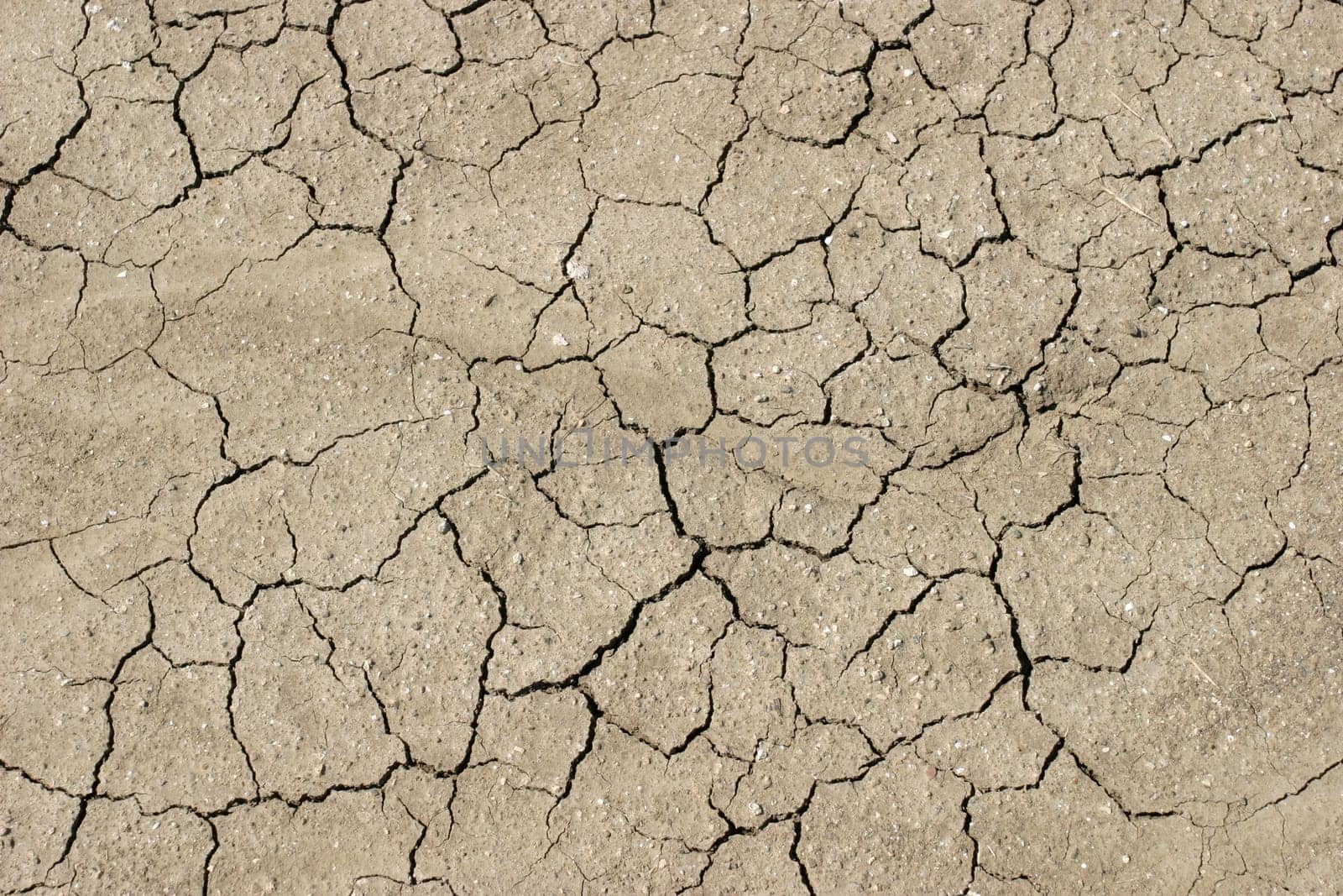 Dried dirt with cracks.