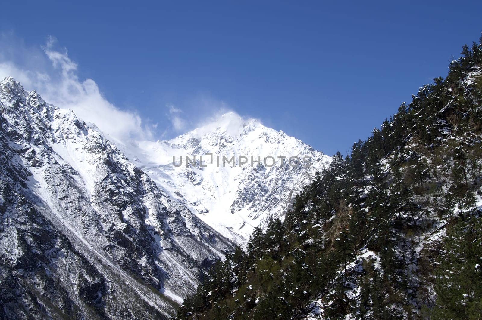 High Mountains. Caucasus. Tsey.