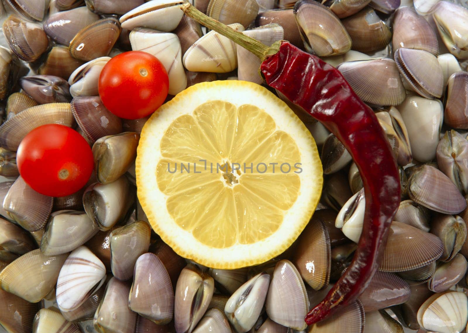 Clams with tomato, chili and lemon, seafood from mediterranean