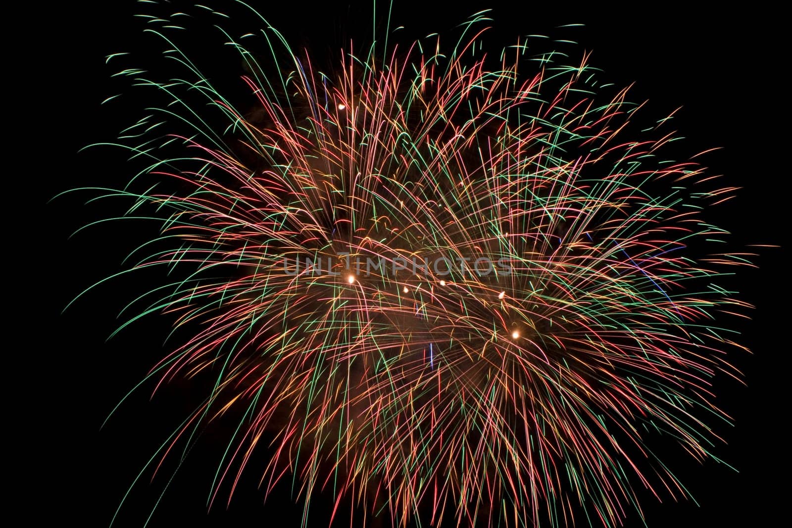 multi colored firework flowers