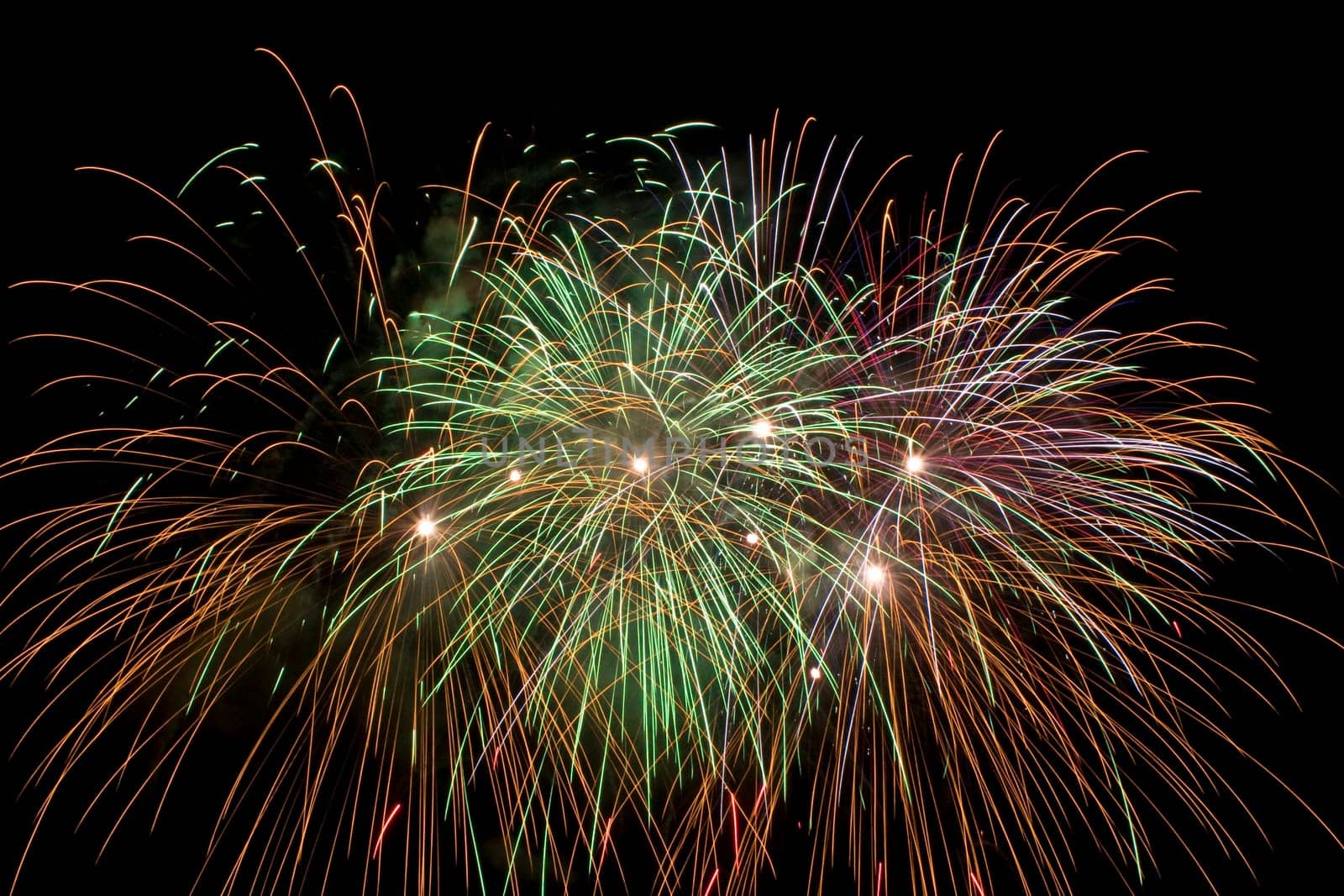 multi colored firework flowers