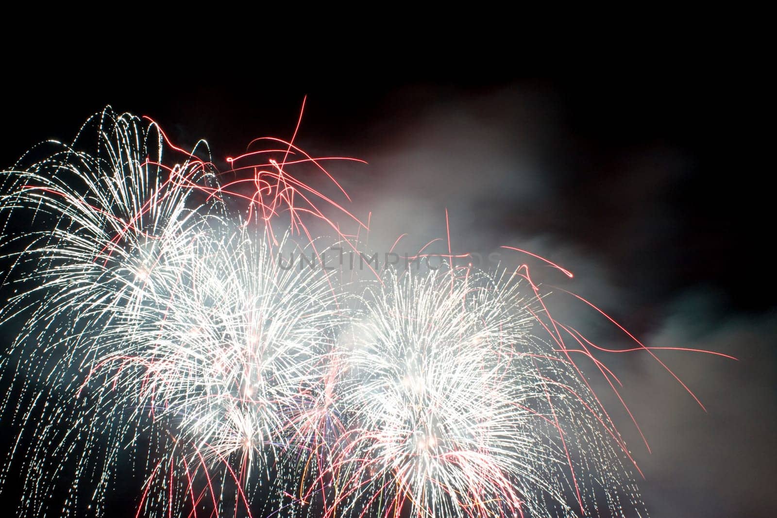 multi colored firework flowers