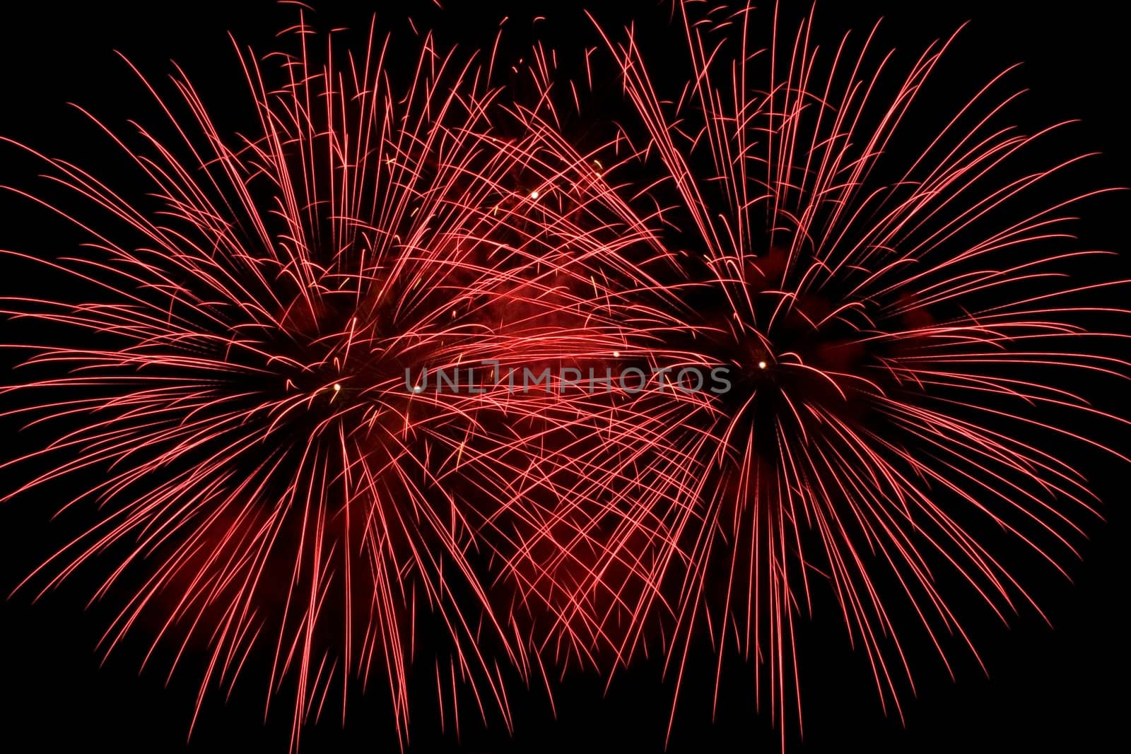 Frame fill with two red firework flowers