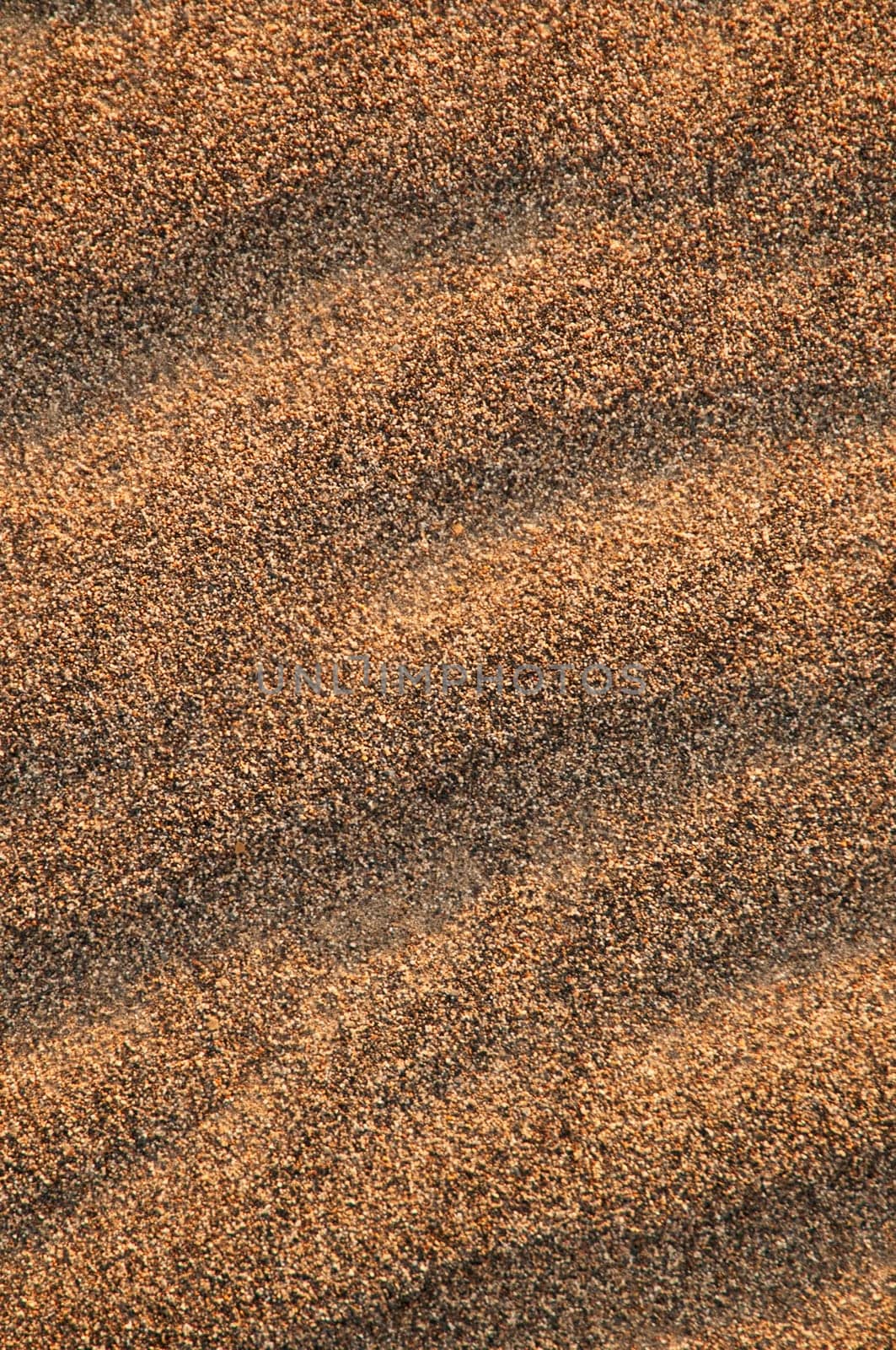 close up of the ridges in sand