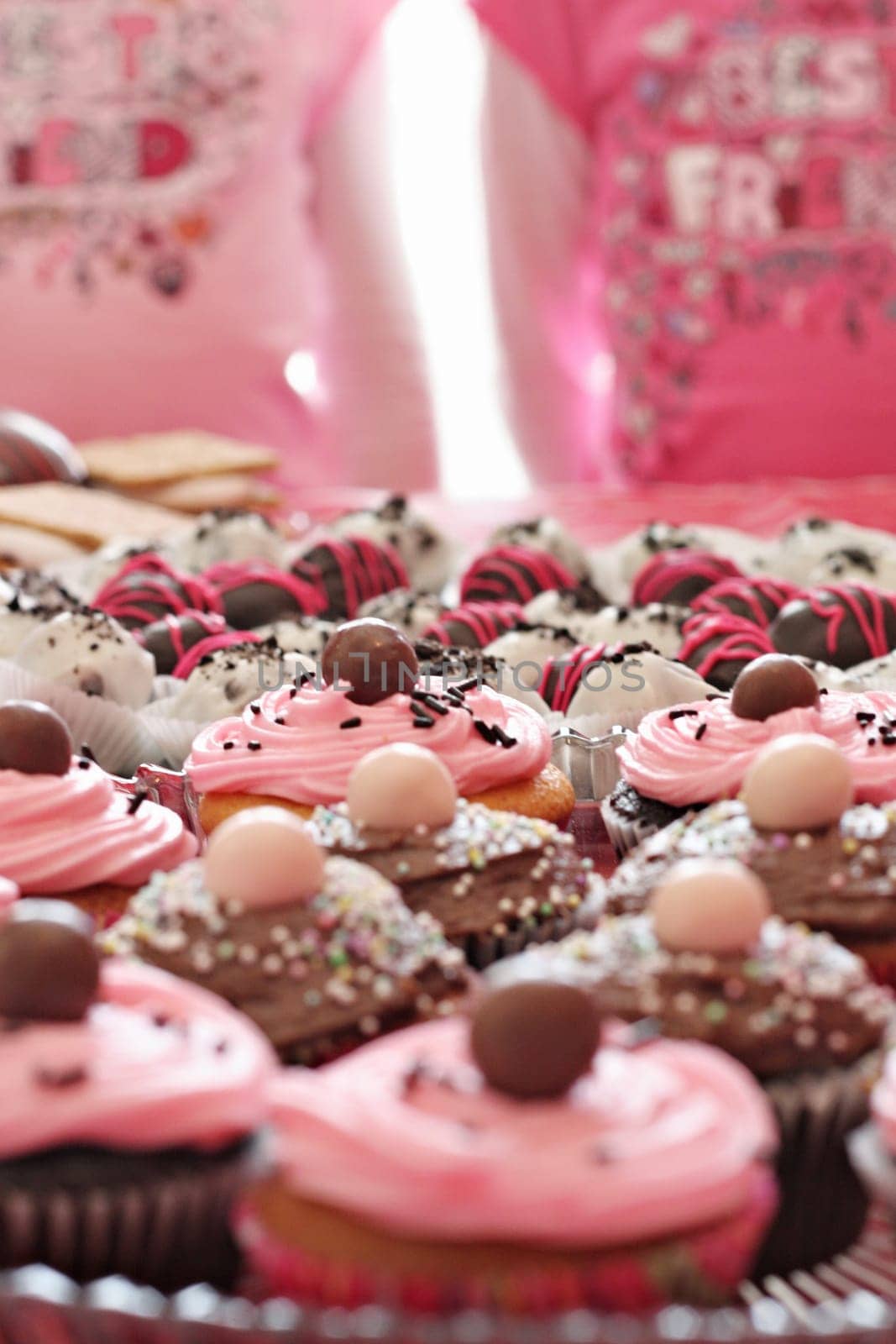 twins & cupcakes