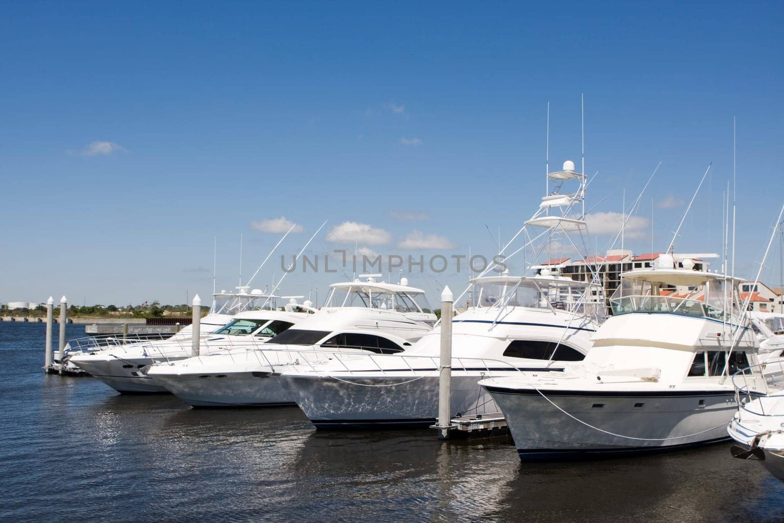 Expensive luxury yachts remain docked at the pier in Pensacola, Florida.