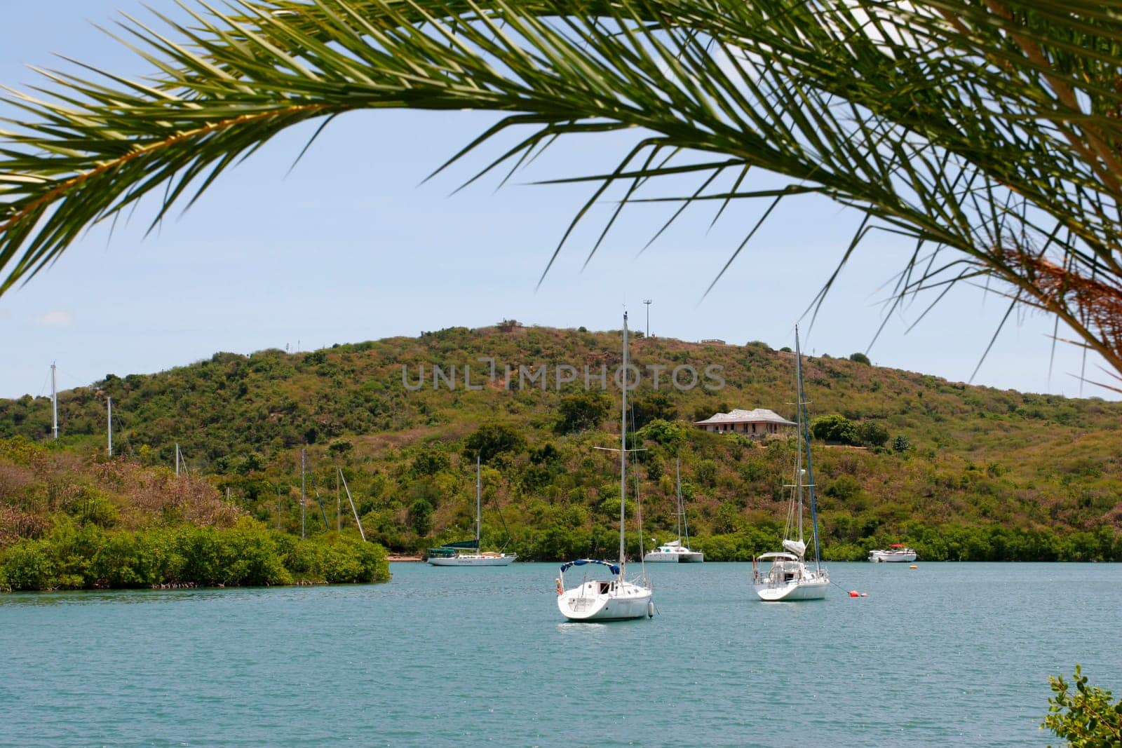 Falmouth Bay and English Harbor