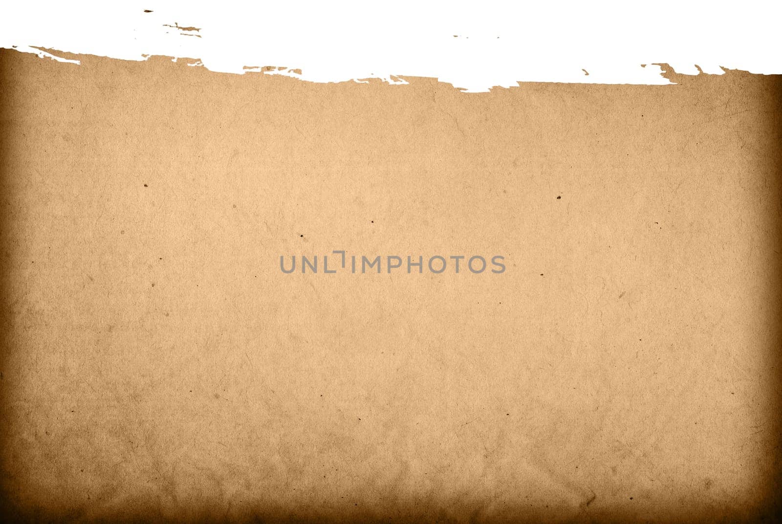 highly Detailed textured grunge background frame