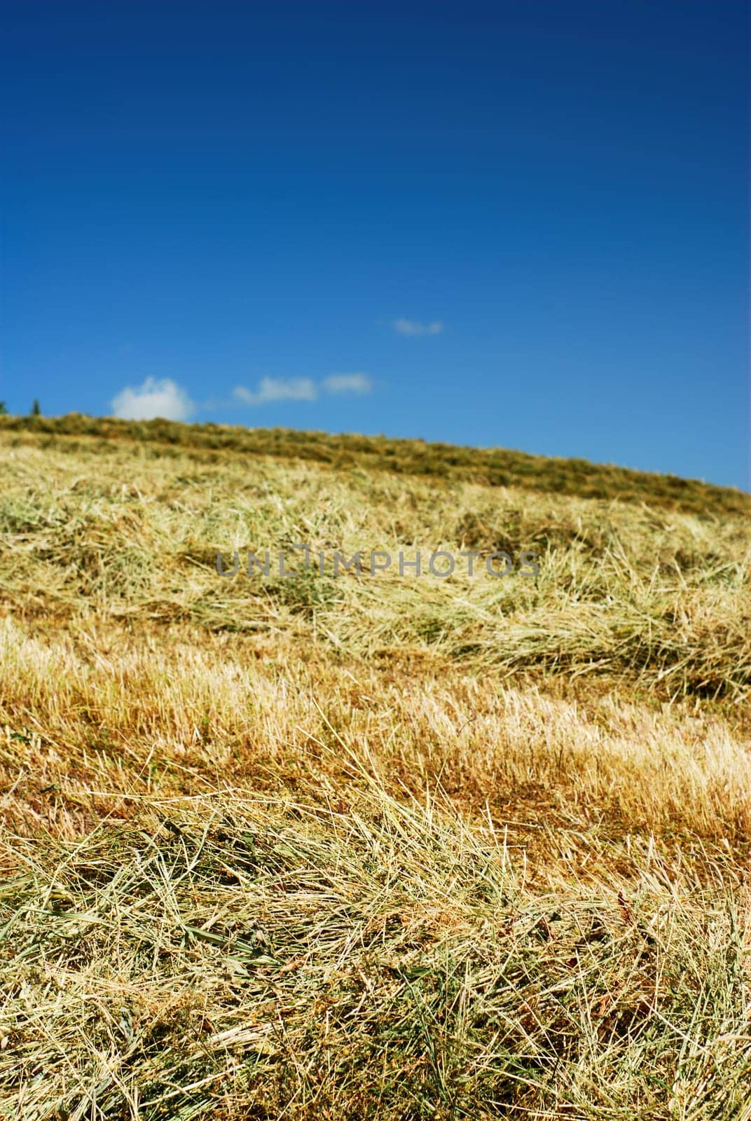 Hay over the hillside under blue sky