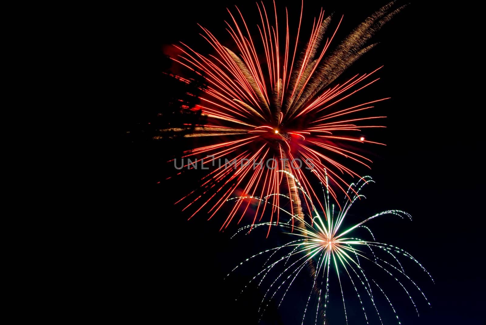 Fireworks exploding in the dark of the evening sky.