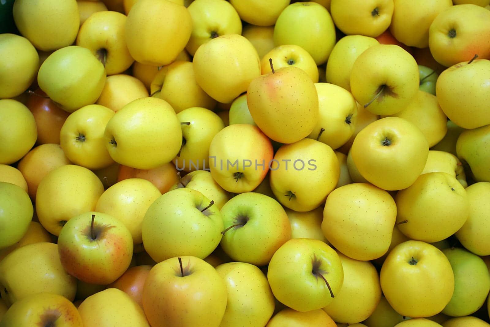 Golden apples