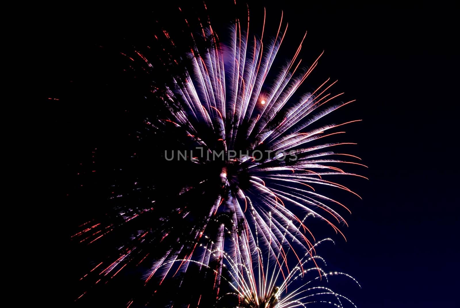 Fireworks exploding in the dark of the evening sky.