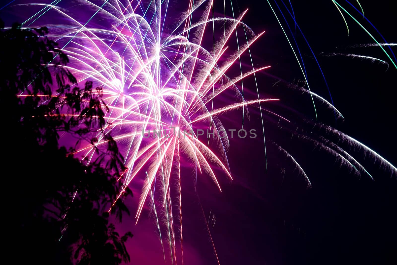 Fireworks exploding in the dark of the evening sky.