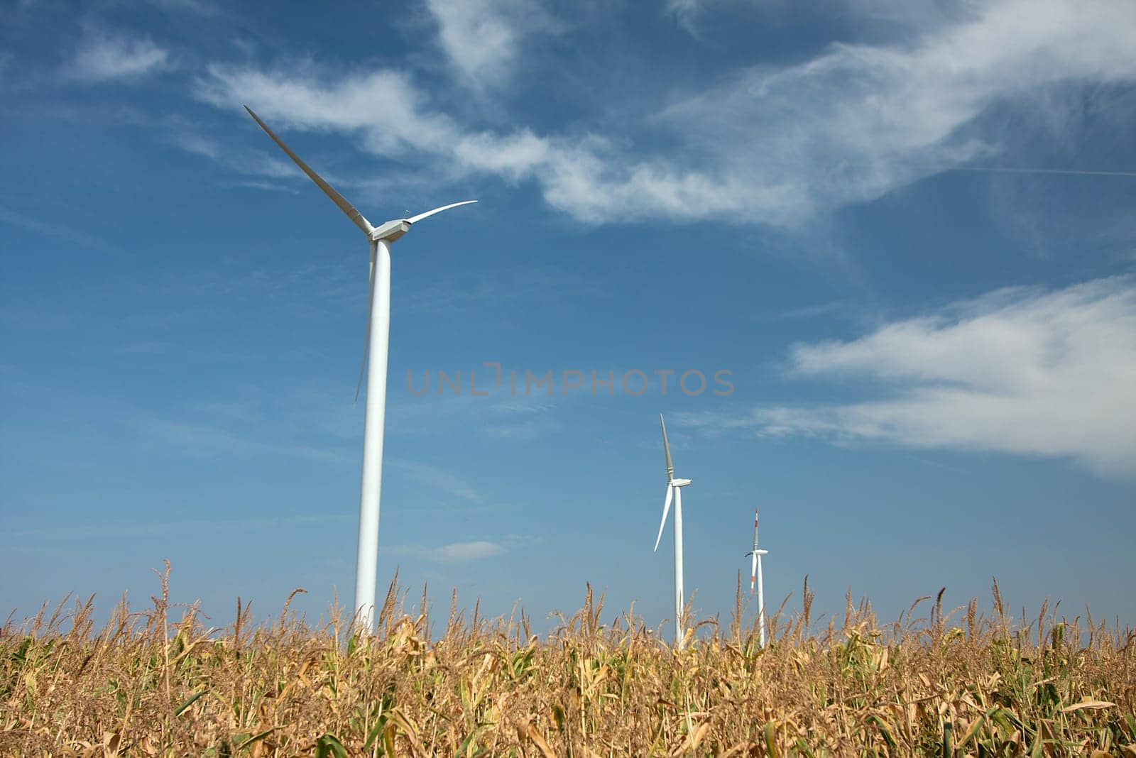 Wind turbines on an agricultural field