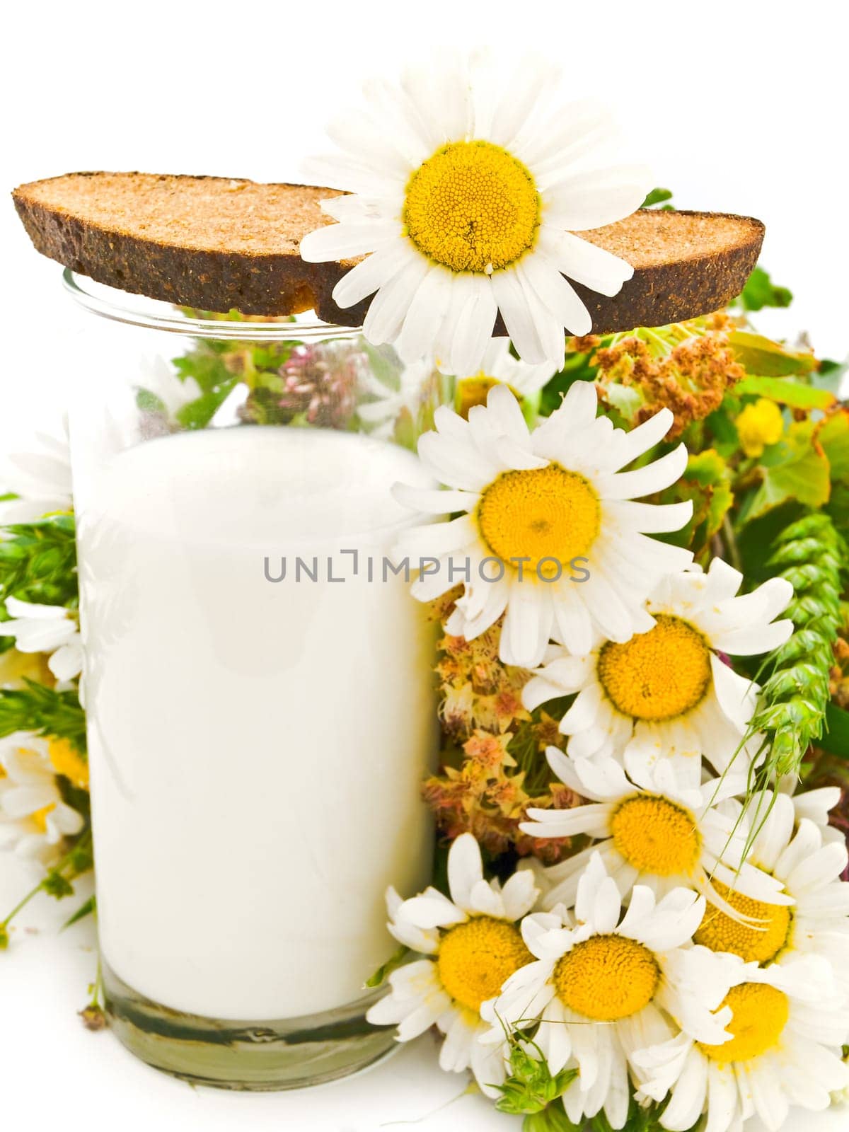 Photo of the bread milk and camomile against the white background