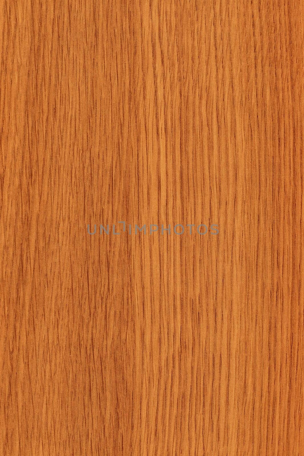 wood natural texture, fine detail image background