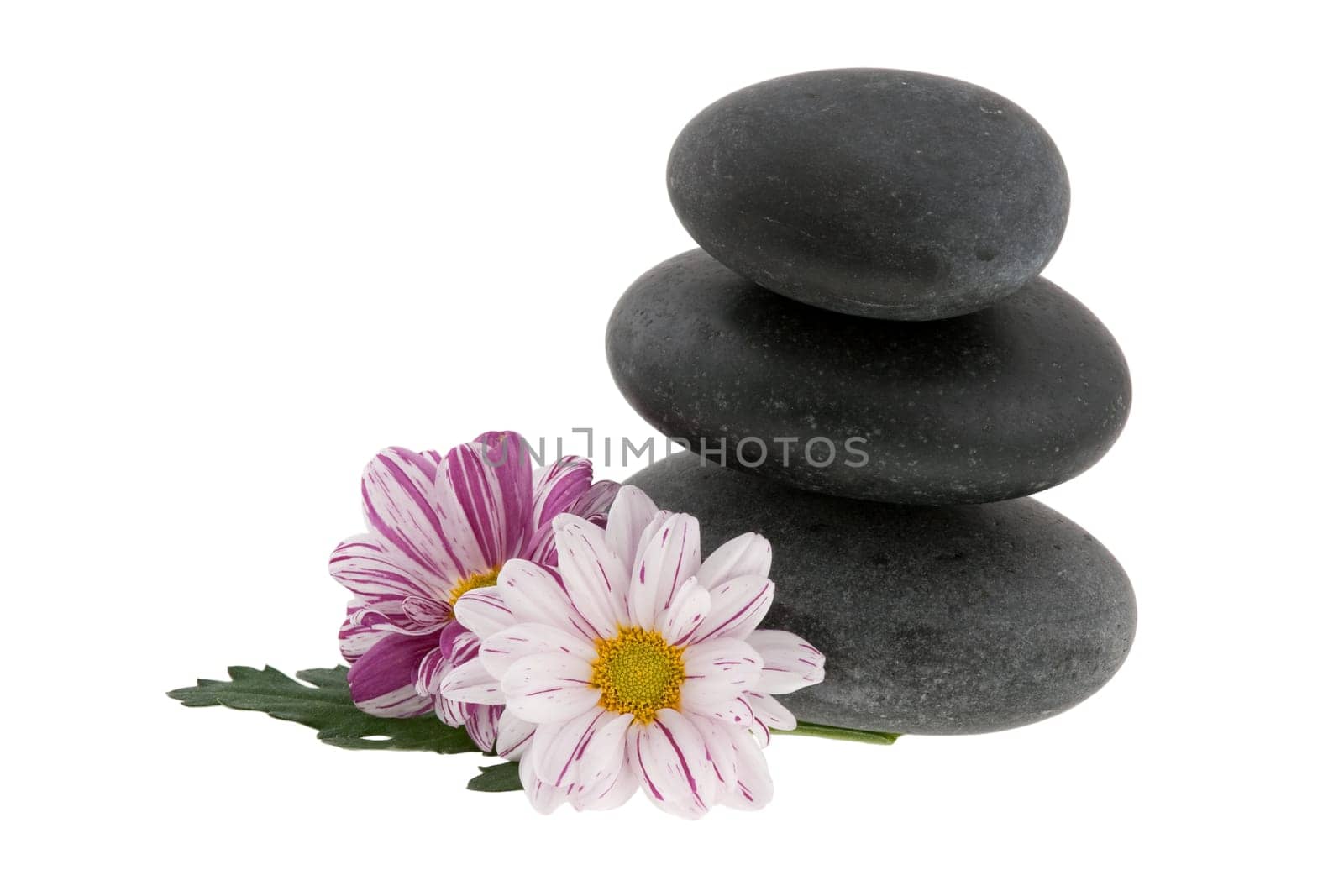 Hot stones with flowers, isolated on white background