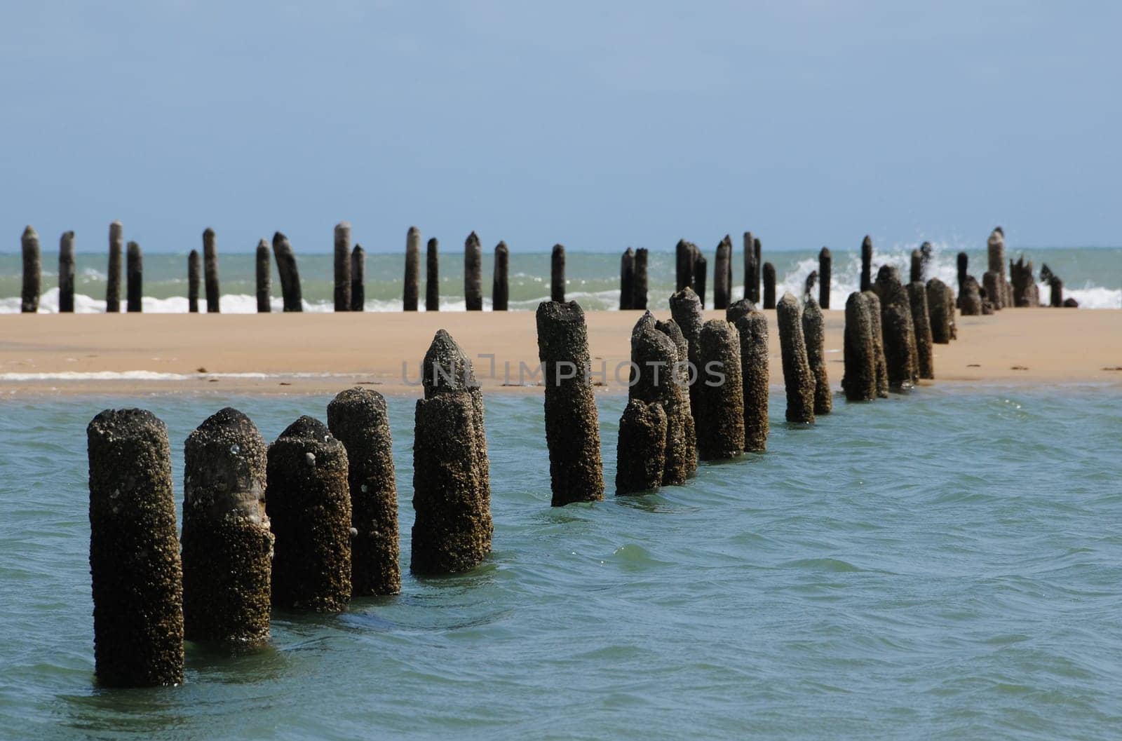 old fishing trap