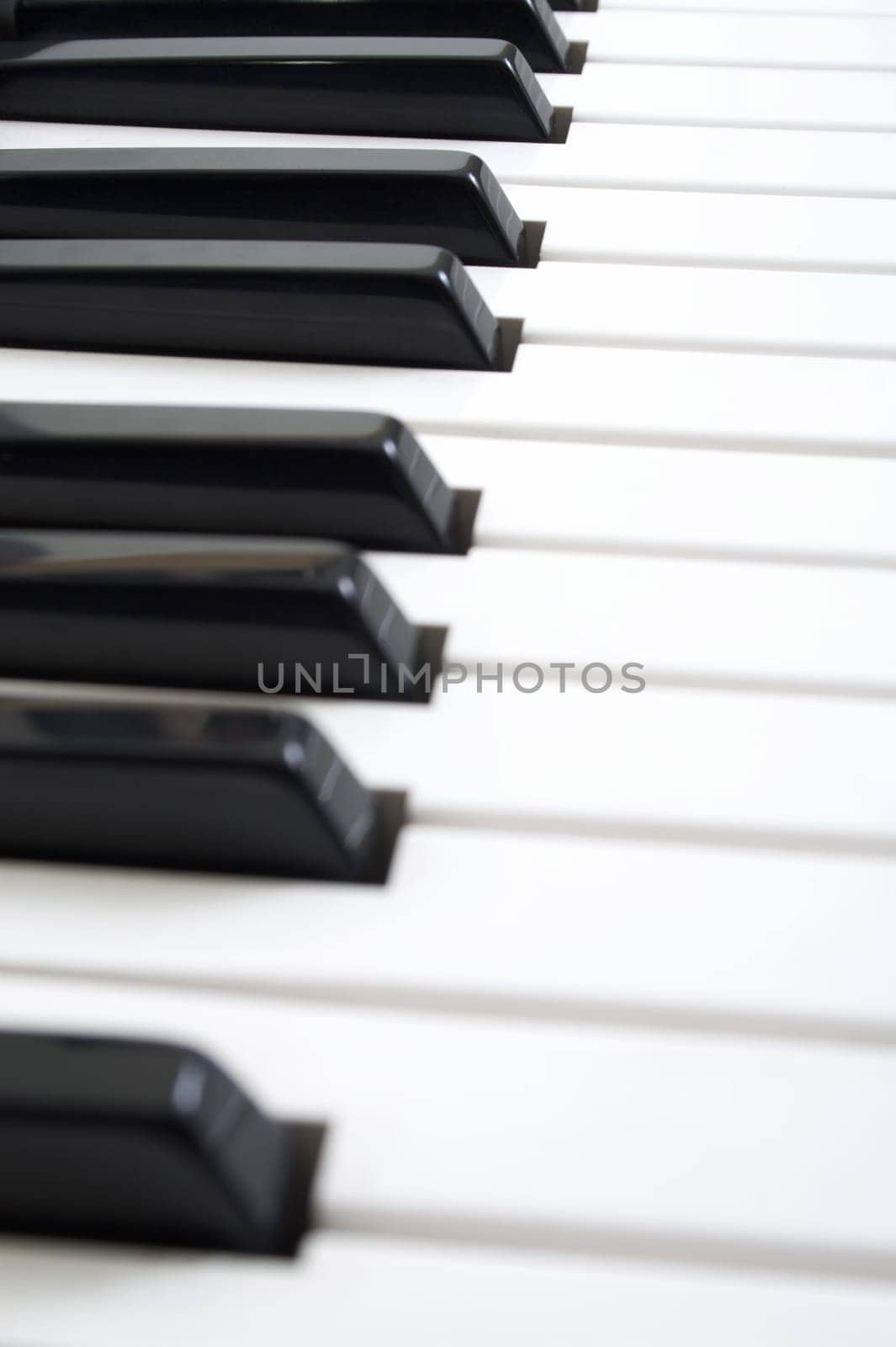 White and black keys of music piano