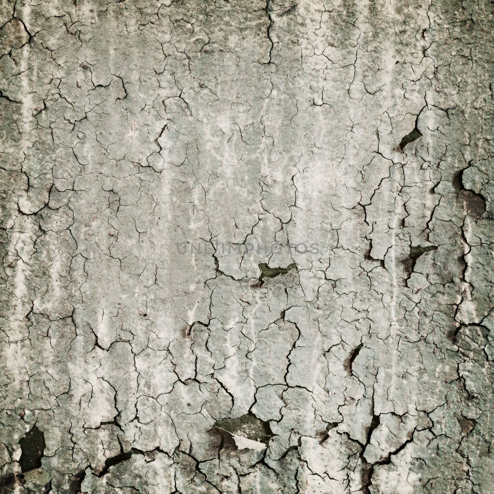 Loathsome square texture from the peeled wall