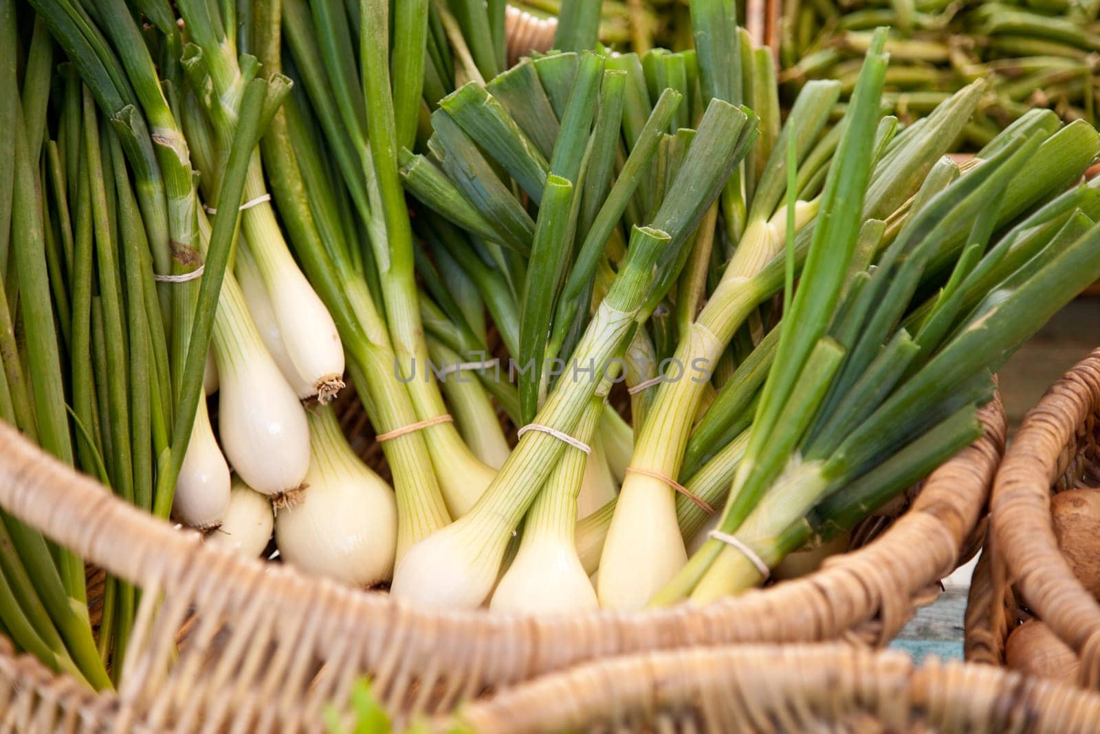 A bunch of fresh spring onions at a market