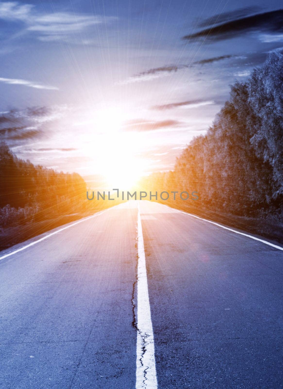 Collage - road to the light