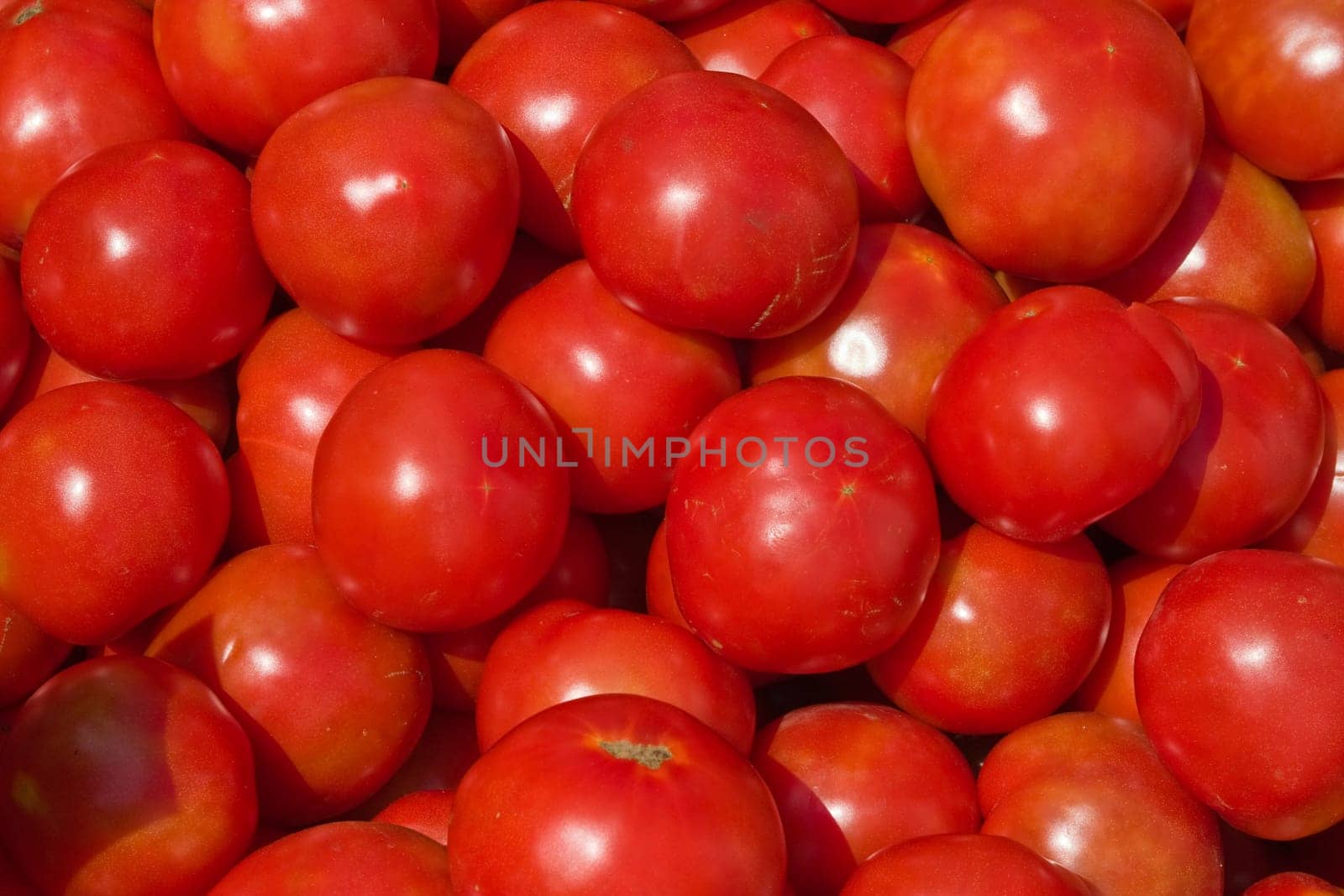 food series: background of red ripe tomato