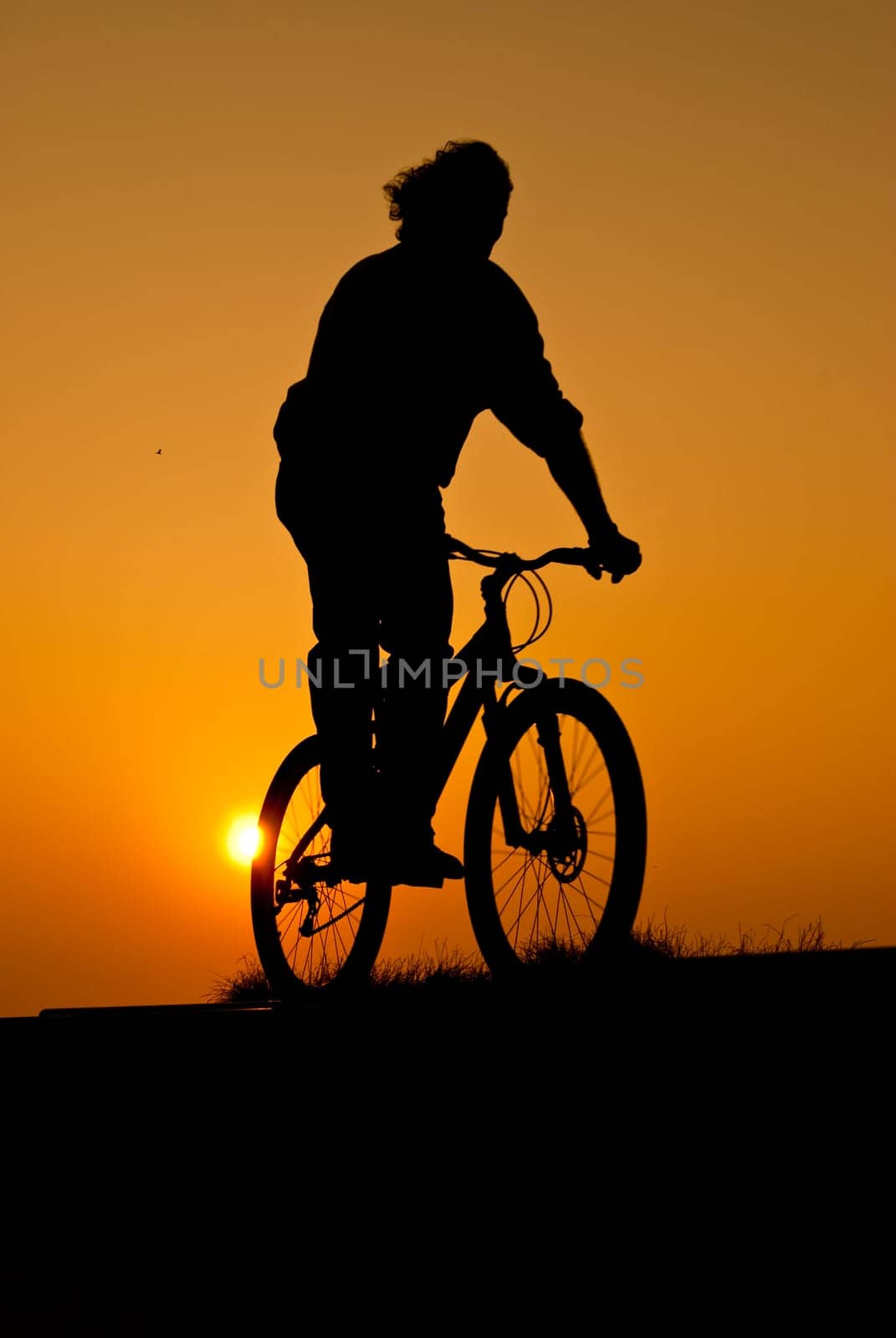 silhouet of a young adult riding a bike at sunset