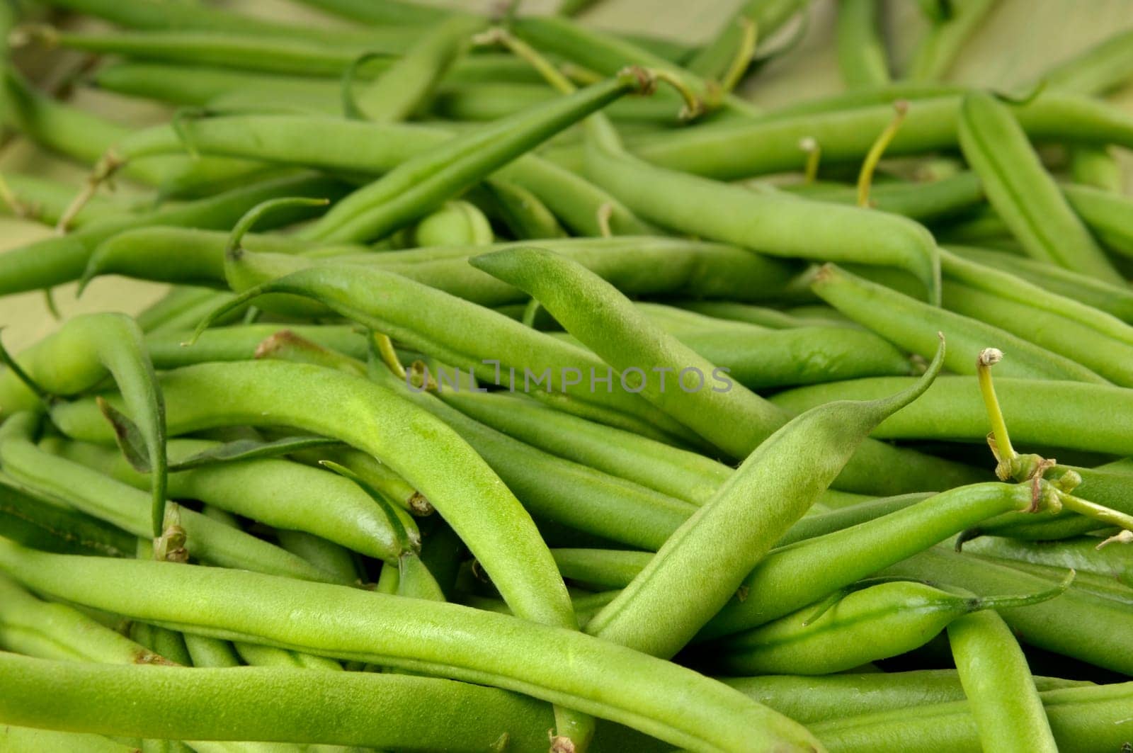 raw beans