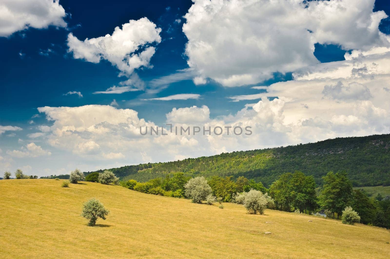 rural landscape with blue sky and clouds on it