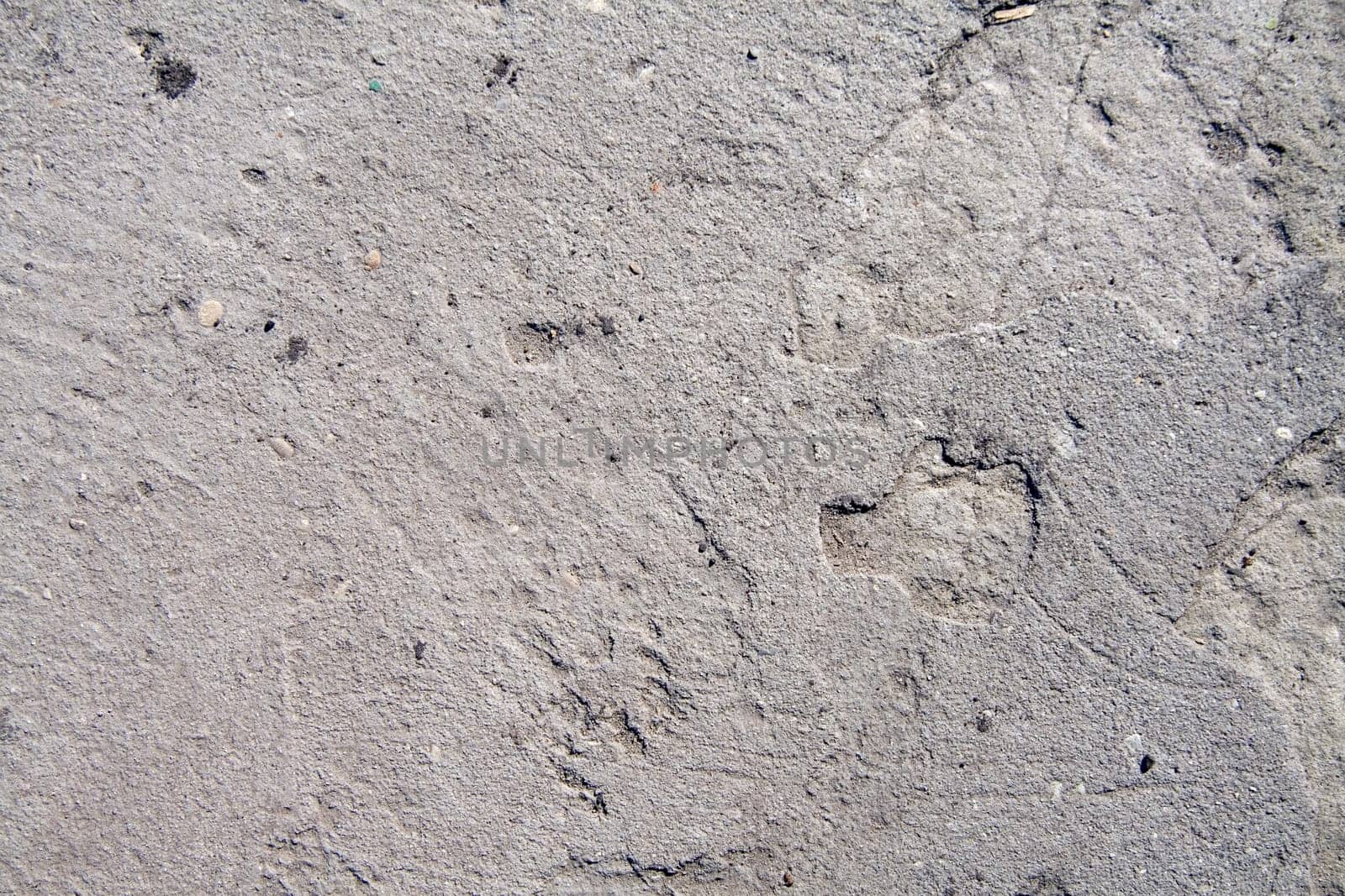 Concrete texture grey color