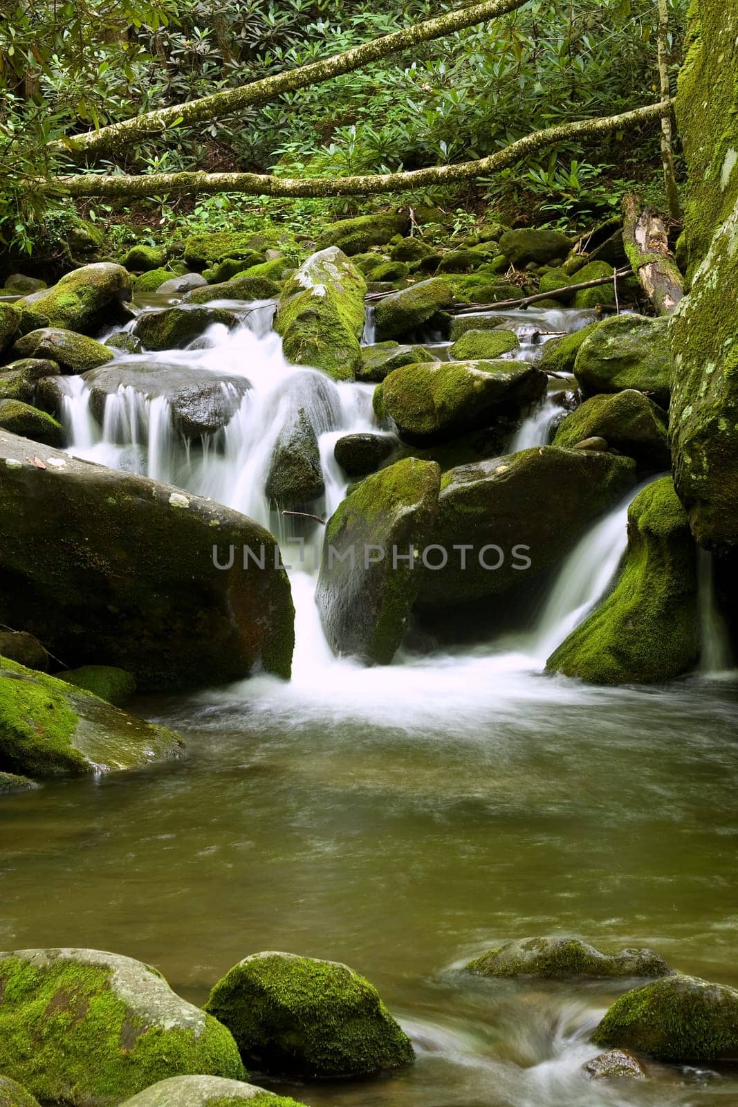 nice scenic view of a waterfall with silky smooth water