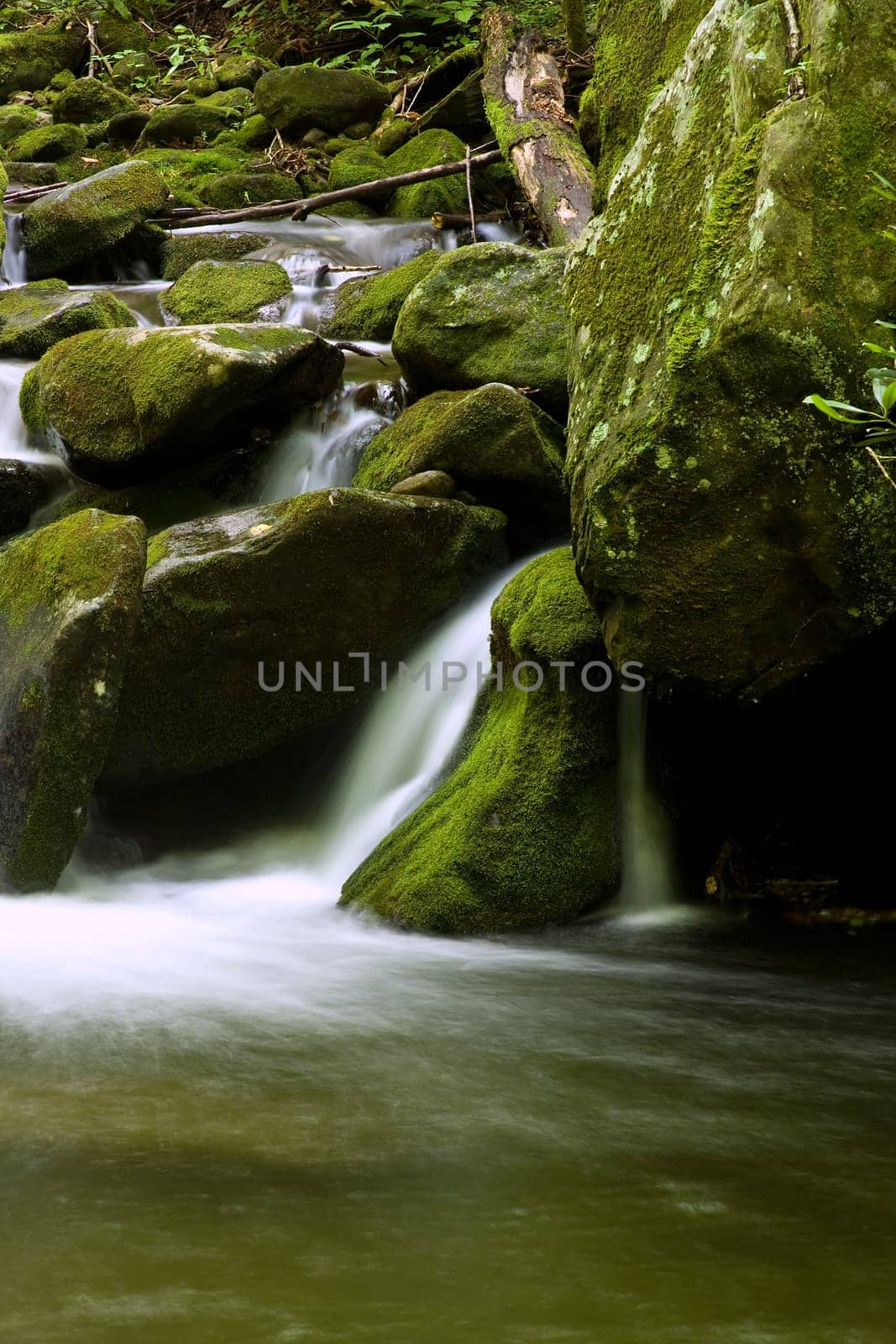 nice scenic view of a waterfall with silky smooth water