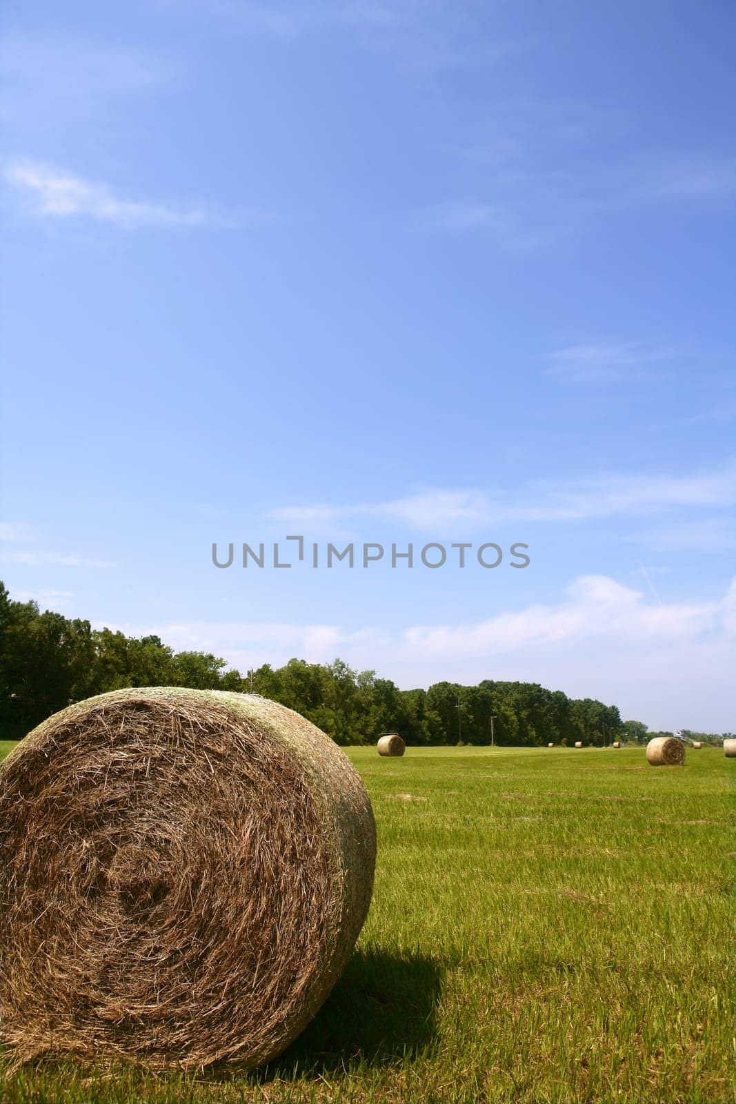 Golden Straw Hay Bales in american countryside on sunny day