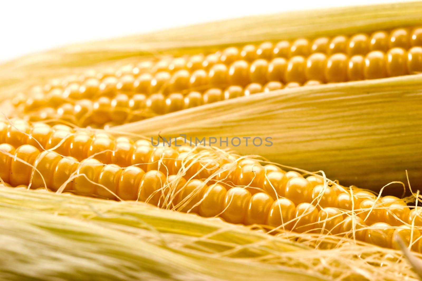 vegetable series: macro picture of golden corn