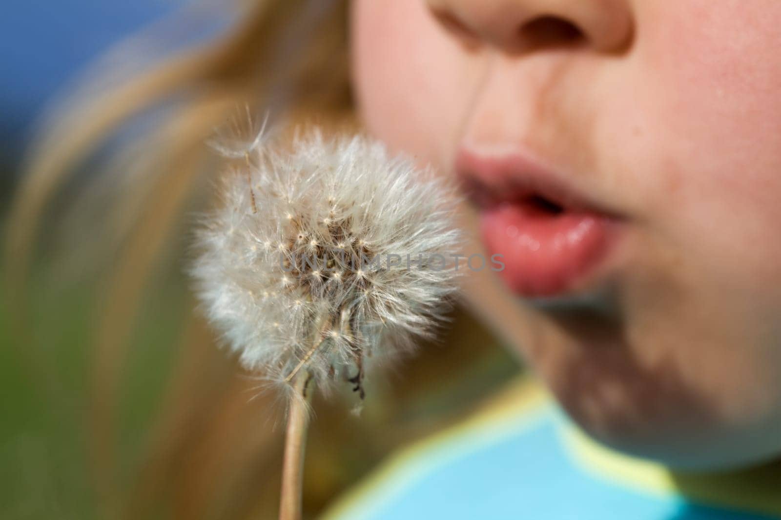 Little girl blowing dandelion seeds - closeup, shallow depth of field