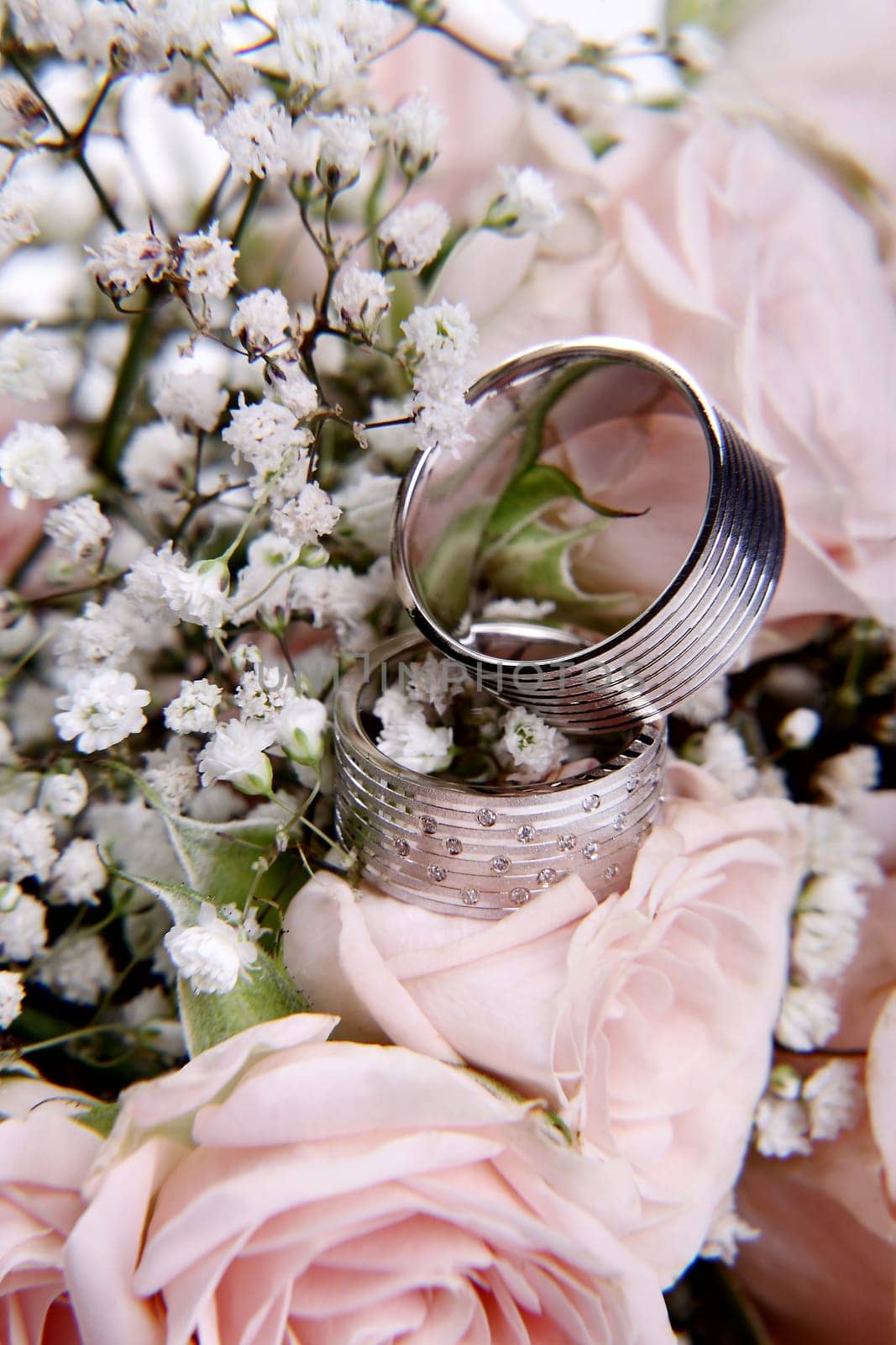 2 wedding rings laying on top of rose