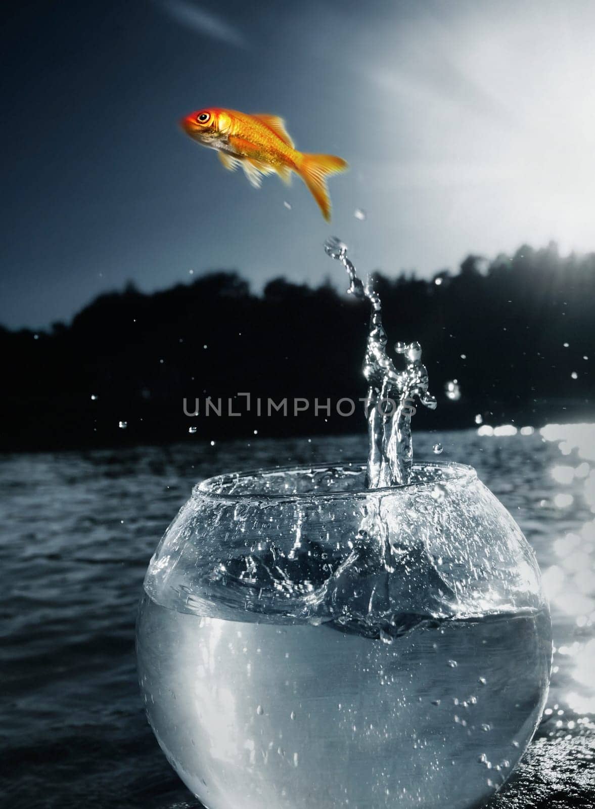 goldfish jumping out of the water