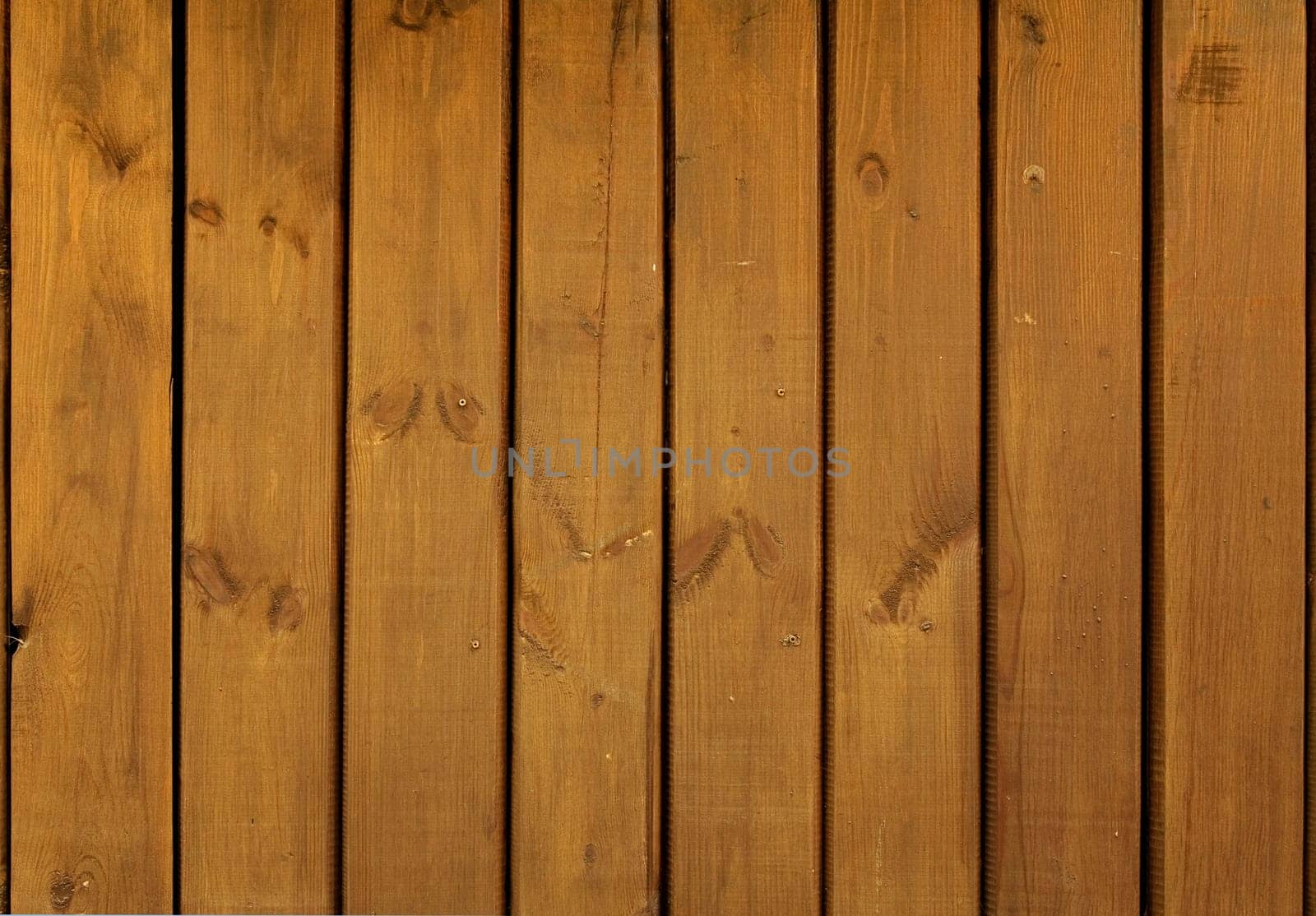 Close-up of light wood texture, natural light