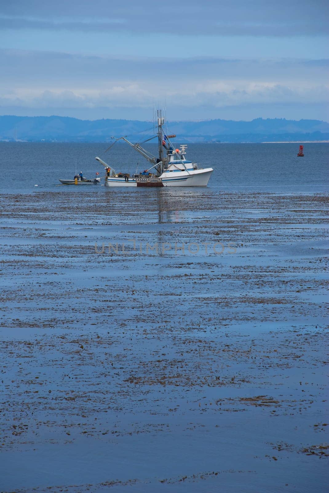 Commercial Fishing Boat Anchored in Monterey Bay, California, USA