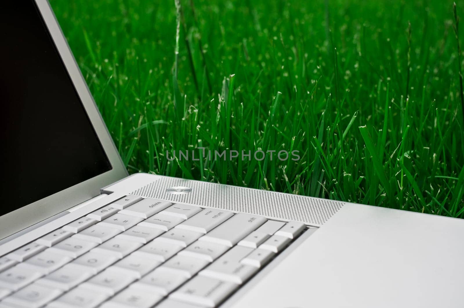 open laptop on grass